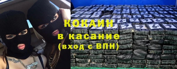 сатива Пересвет