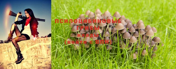 ГАЛЛЮЦИНОГЕННЫЕ ГРИБЫ Абинск
